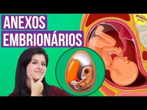 Thumbnail da aula: ANEXOS EMBRIONÁRIOS E SUAS PRINCIPAIS FUNÇÕES | Resumo de Biologia para o Enem
