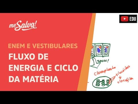 Thumbnail da aula: Me Salva! ECO12 - Ecologia - Fluxo de energia e ciclo da matéria