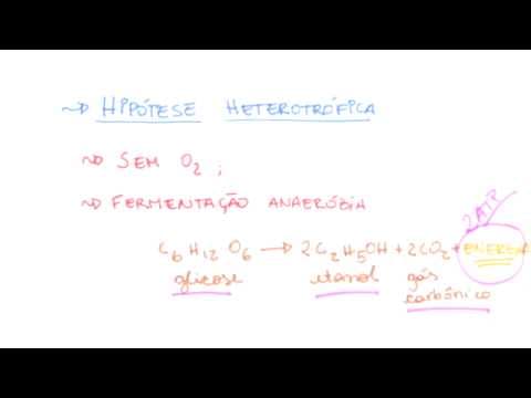 Thumbnail da aula: Me Salva! OV03 - Hipótese heterotrófica