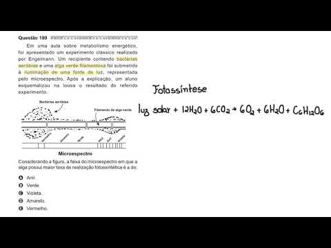 Thumbnail da aula: ENEM 2020 - Luz - Em uma aula sobre metabolismo energético, foi apresentado um experimento clássico
