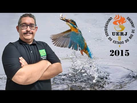 Thumbnail da aula: Uerj 2015 | Uma ave marinha costuma mergulhar de uma altura de 20 m para buscar alimento no mar