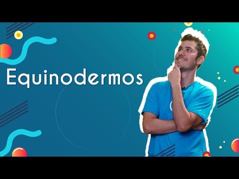Thumbnail da aula: Equinodermos - Brasil Escola