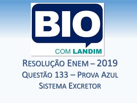 Thumbnail da aula: Enem 2019 - Prova Azul - Questão 133 - Sistema Excretor