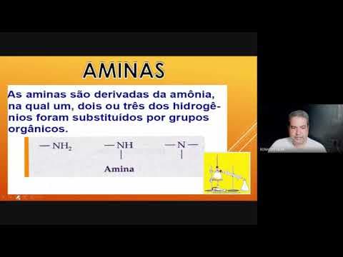 Thumbnail da aula: Aminas Forever