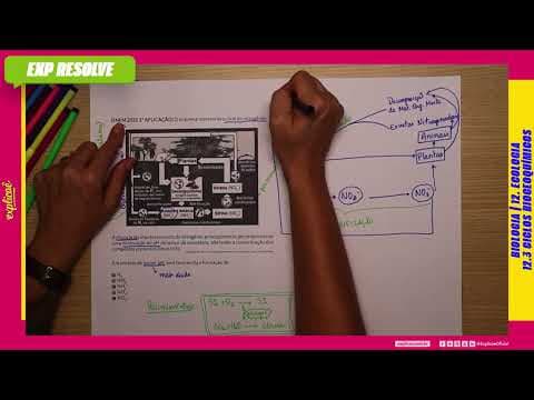Thumbnail da aula: A CHUVA ÁCIDA INTERFERE NO CICLO DO NITROGÊNIO, PRINCIPALMENTE, POR (...) | CICLOS BIOGEOQUIMICOS