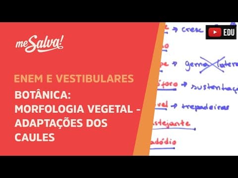 Thumbnail da aula: Me Salva! BOT40 - Botânica - Morfologia vegetal: adaptações dos caules