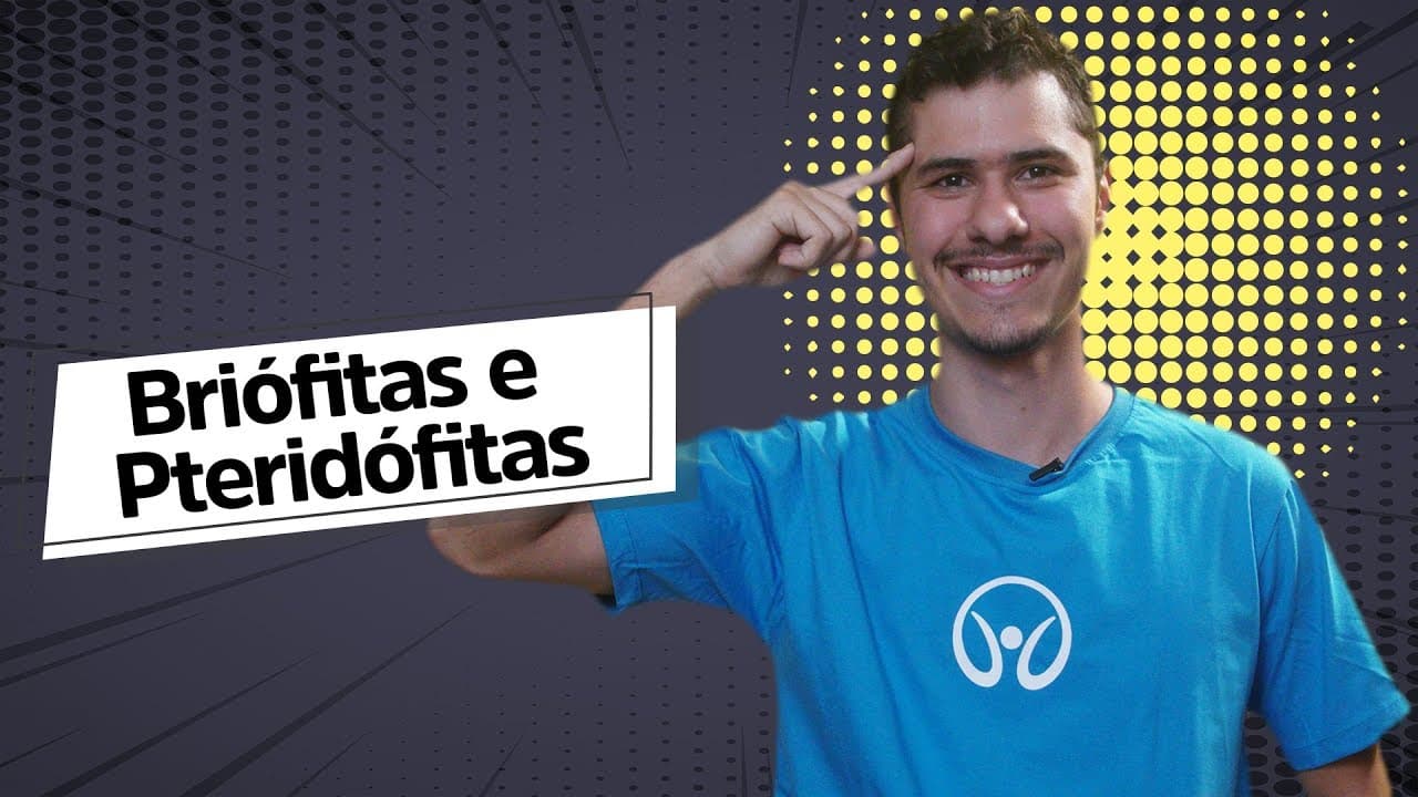 Thumbnail: Briófitas e Pteridófitas | Introdução à Botânica - Brasil Escola