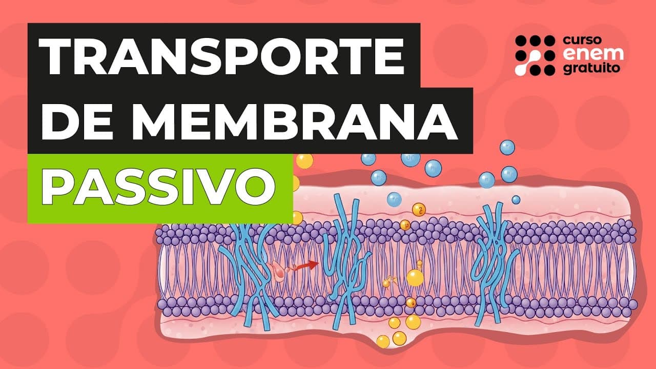 Thumbnail: TRANSPORTE DE MEMBRANA PASSIVO | Biologia para o Enem | Cláudia de Souza Aguiar