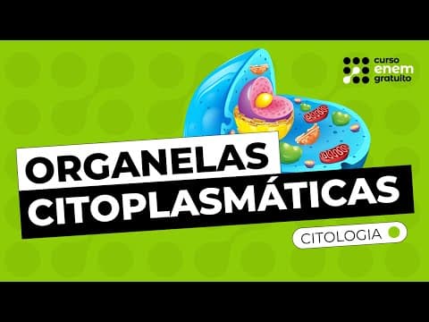 Thumbnail da aula: ORGANELAS CITOPLASMÁTICAS (CITOLOGIA) | Resumo de Biologia para o Enem