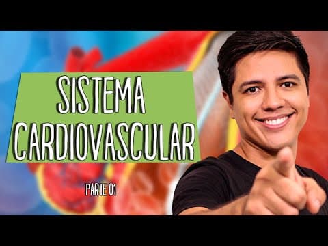 Thumbnail da aula: SISTEMA CIRCULATÓRIO OU CARDIOVASCULAR - Parte 01 - Prof. Kennedy Ramos