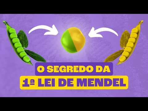 Thumbnail da aula: PRIMEIRA LEI DE MENDEL: O Segredo da Revolução Genética