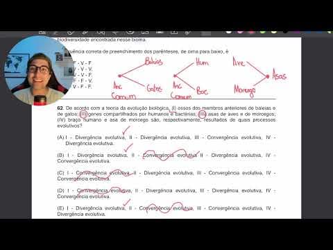 Thumbnail da aula: UFRGS 2024 Questão 62 - De acordo com a teoria da evolução biológica...