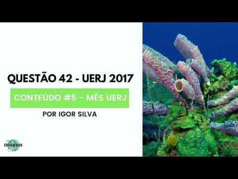 Thumbnail da aula: Biologia - Questão 42 - UERJ 2017 - #UERJ2021 (Por Igor Silva)