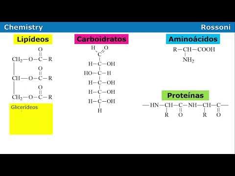 Thumbnail da aula: UFRGS 2011 Q41 - Bioquímica