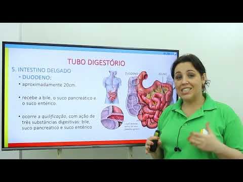 Thumbnail da aula: Biologia - Sistema Digestório: Duodeno