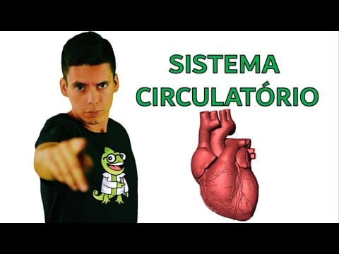 Thumbnail da aula: Sistema Circulatório - Resumo Professor Gustavo Schmidt