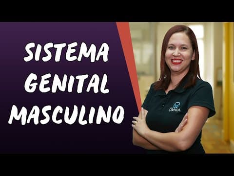 Thumbnail da aula: Sistema Genital Masculino - Brasil Escola