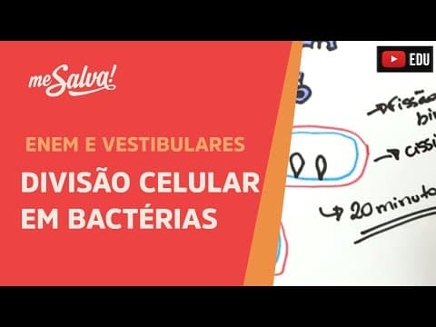 Thumbnail da aula: Me Salva! CIT31 - Citologia - Divisão celular em bactérias