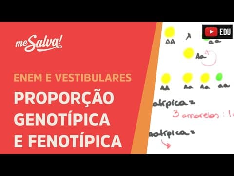 Thumbnail da aula: Me Salva! GEN09 - Genética - Proporção genotípica e fenotípica