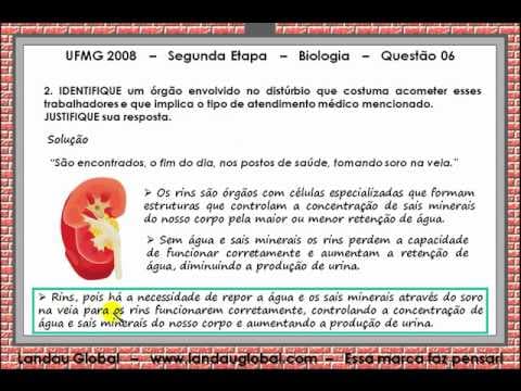 Thumbnail da aula: UFMG_2008_BIO_P2_Q6