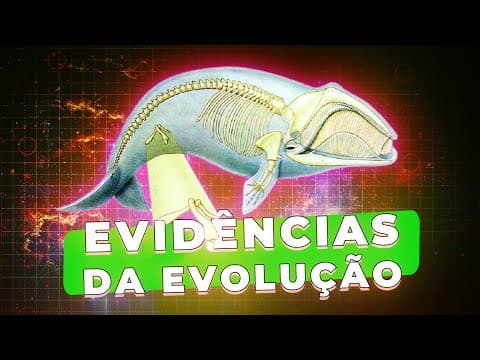 Thumbnail da aula: As evidências da evolução