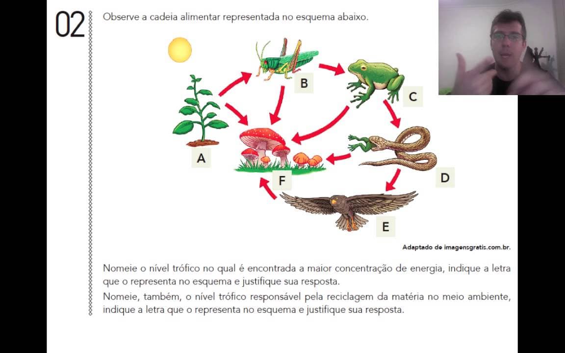 Thumbnail: UERJ 2015 - Biologia Específica - Questão 02