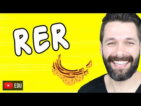 Thumbnail da aula: RETÍCULO ENDOPLASMÁTICO RUGOSO OU GRANULAR | Biologia com Samuel Cunha