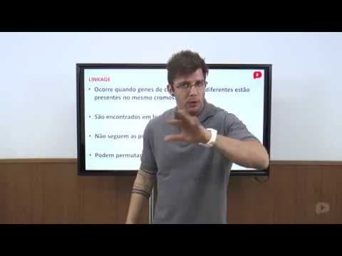 Thumbnail da aula: Biologia - Linkage - Mapas genéticos