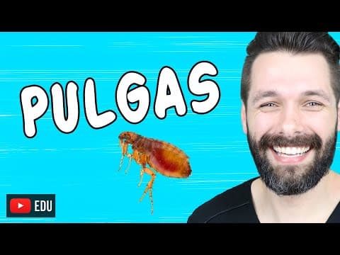 Thumbnail da aula: PULGAS - Ctenocephalides spp - PARASITOLOGIA | Biologia com Samuel Cunha