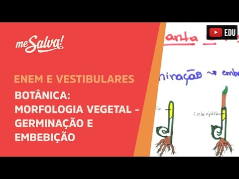 Thumbnail da aula: Me Salva! BOT36 - Botânica - Morfologia vegetal: germinação e embebição
