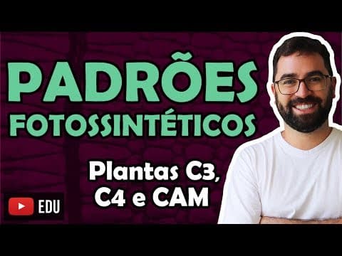 Thumbnail da aula: Padrões Fotossintéticos - Aula 28 - Módulo I: Biologia Celular | Prof. Guilherme