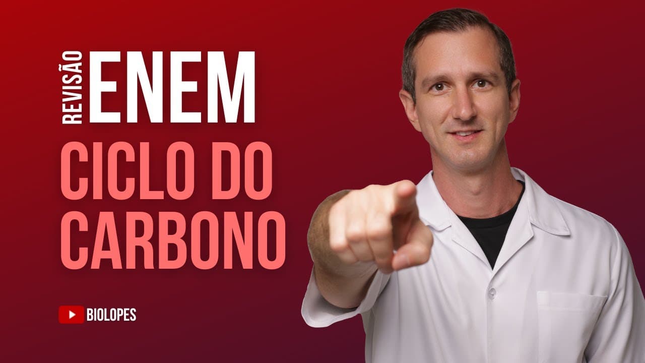 Thumbnail: ENEM (2021) - Organismos autótrofos e heterótrofos realizam processos complementares que associam...
