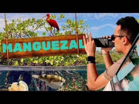 Thumbnail da aula: Manguezal | Biomas do Brasil | Ep.15