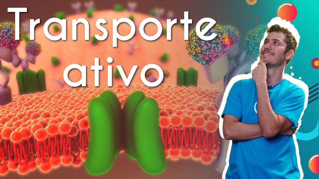 Thumbnail: Transporte ativo - Brasil Escola