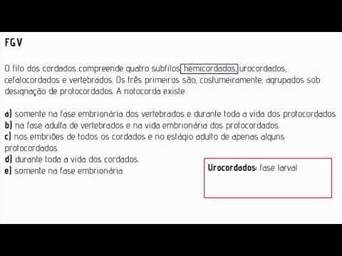 Thumbnail da aula: Biologia VI - Aula 06: Cordados - Exercícios