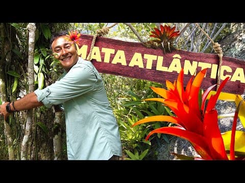 Thumbnail da aula: Mata Atlântica | Biomas do Brasil | Ep.7