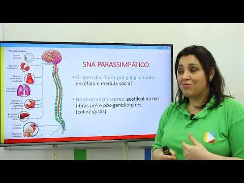 Thumbnail da aula: BIOLOGIA - Sistema Nervoso Periférico Autônomo