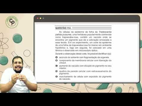 Thumbnail da aula: ENEM 2022 - As células da epiderme da folha da Tradescantia pallida purpurea, uma herbácea