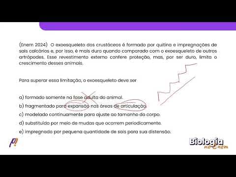 Thumbnail da aula: ENEM 2024 - ZOOLOGIA II | O exoesqueleto dos crustáceos é formado por quitina e impregnações...