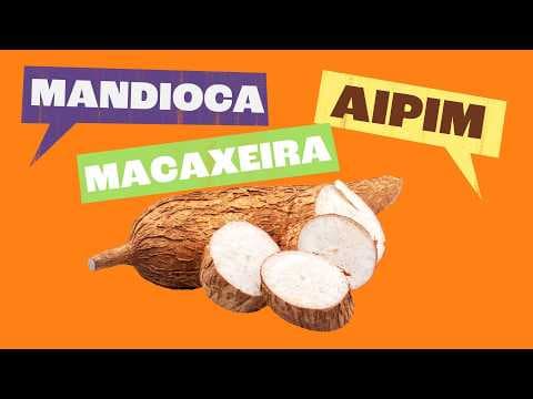 Thumbnail da aula: Variação Linguística: As Diferentes Formas de Falar a Língua