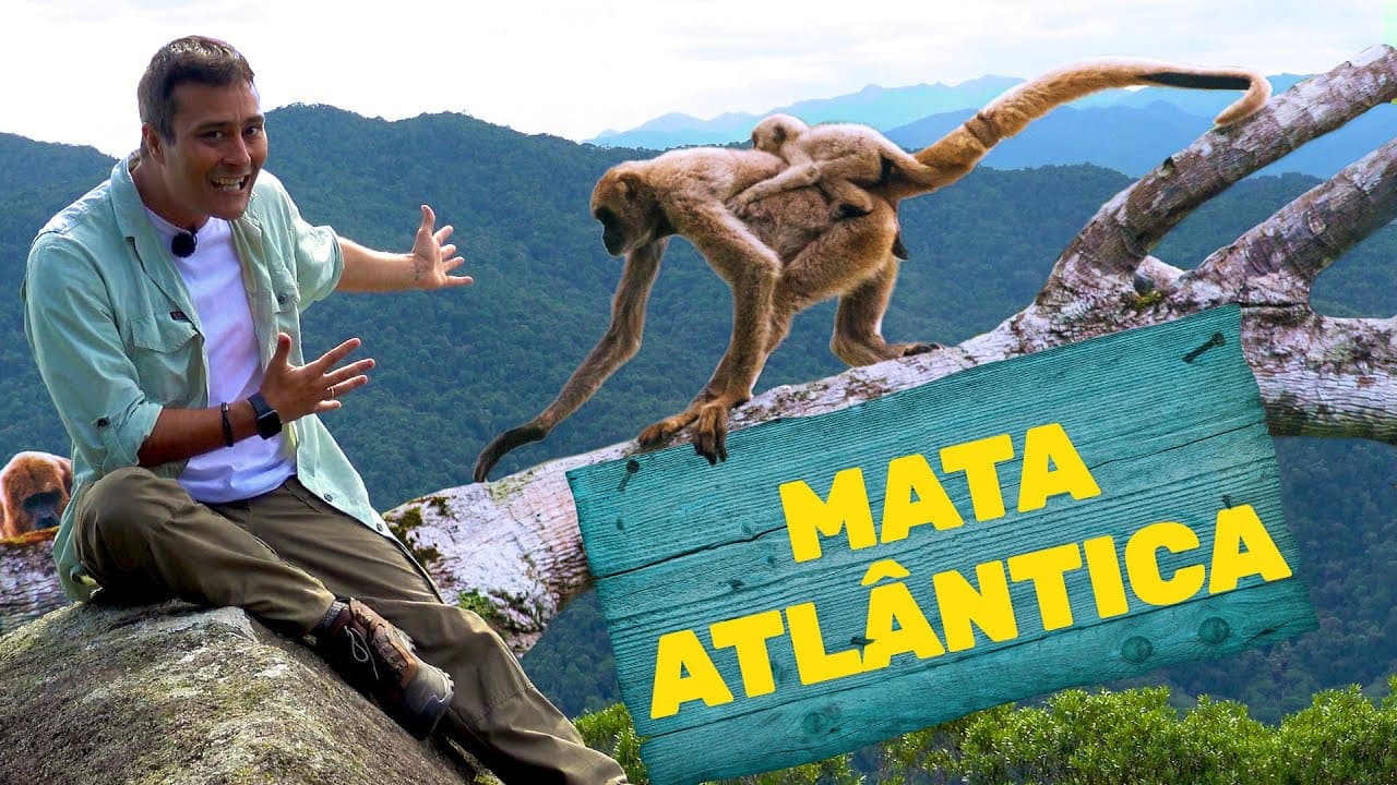Thumbnail: Mata Atlântica | Biomas do Brasil | Ep.8