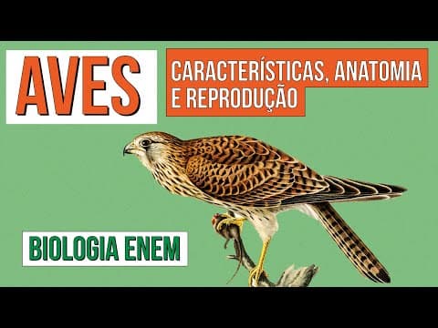 Thumbnail da aula: AVES: características, anatomia e reprodução | Biologia para o Enem | Cláudia de Souza Aguiar