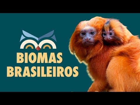 Thumbnail da aula: Biomas Brasileiros - Toda Matéria