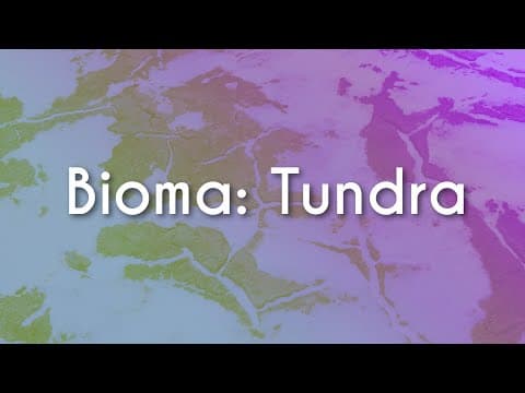 Thumbnail da aula: Bioma: Tundra - Brasil Escola