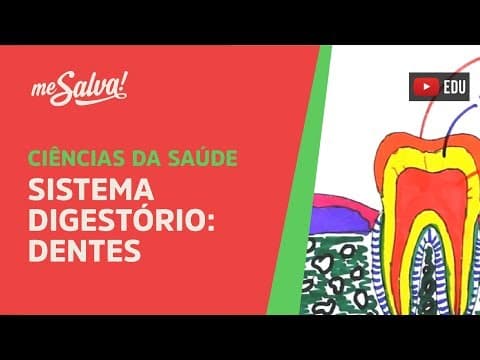 Thumbnail da aula: Me Salva! SDIG02 - Sistema Digestório - Dentes - Histologia Humana