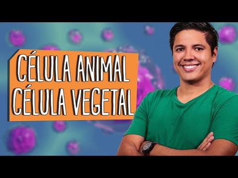 Thumbnail da aula: CÉLULA ANIMAL e CÉLULA VEGETAL - Principais Diferenças - Prof. Kennedy Ramos