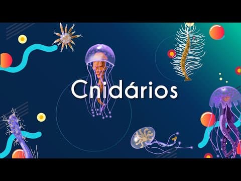 Thumbnail da aula: Cnidários - Brasil Escola