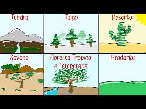 Thumbnail da aula: Vegetações/Biomas do mundo: Floresta temperada e tropical, tundra, taiga, savana, estepe e pradaria