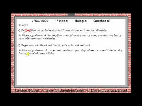 Thumbnail da aula: UFMG_2009_BIO_P1_Q1