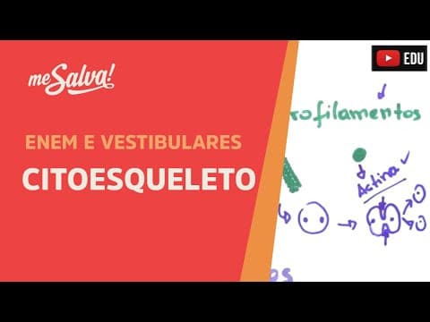 Thumbnail da aula: Me Salva! CIT22 - Citologia - Organelas citoplasmáticas 5 - Citoesqueleto